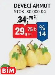 DEVECİ ARMUT DEVECİ ARMUT